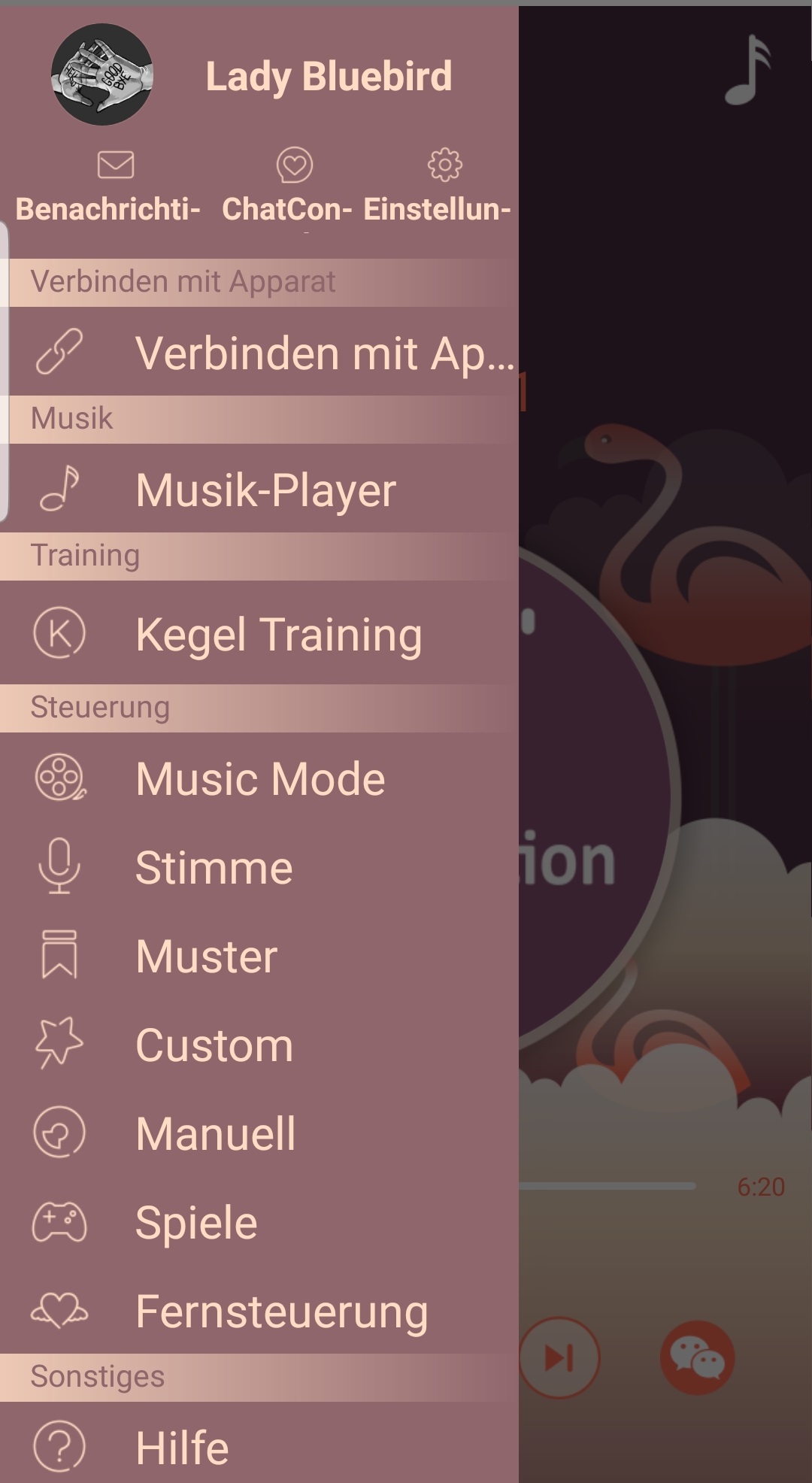 Screenshot_20190407-115231_Magic Motion