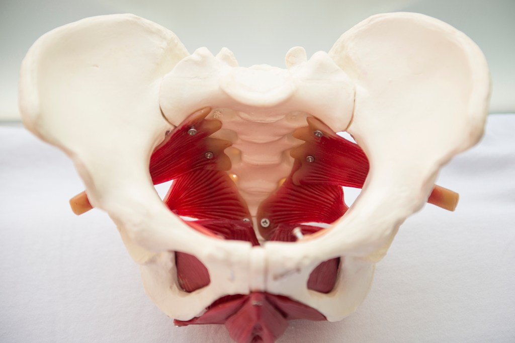 Coregasm - was ist das überhaupt? infoberichte